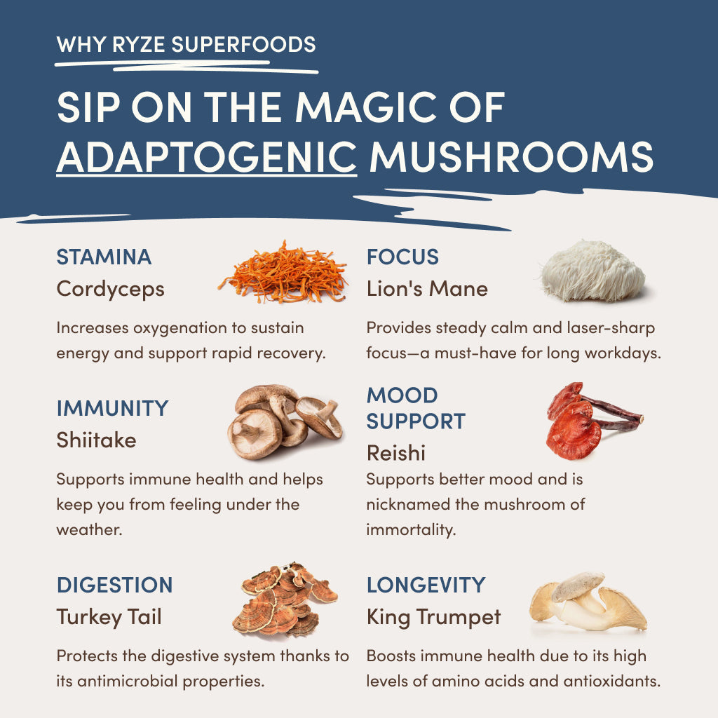 RYZE Nighttime Mushroom Cocoa Starter Bag I3