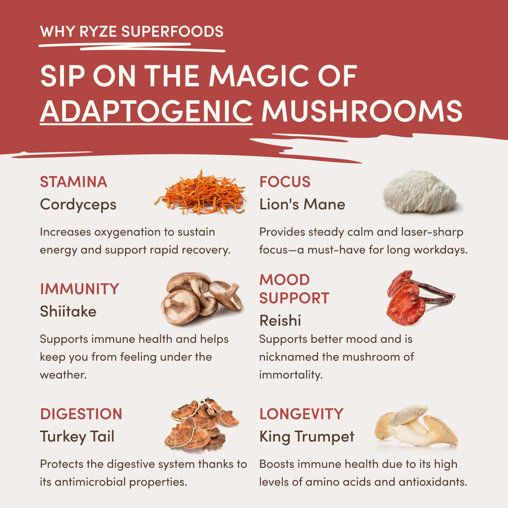 RYZE Mushroom Chai Starter Bag R0