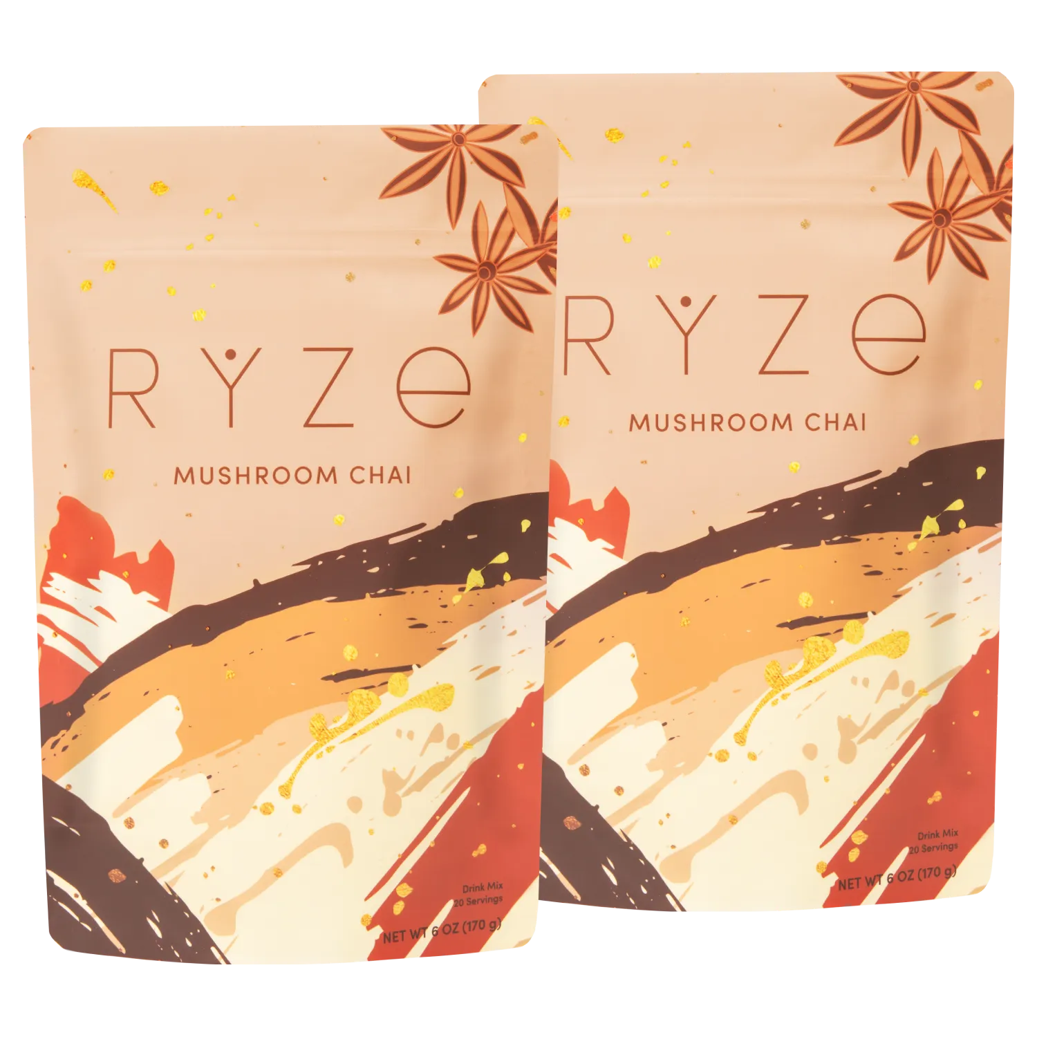 Mushroom Chai Starter Kit: 40 Servings E2