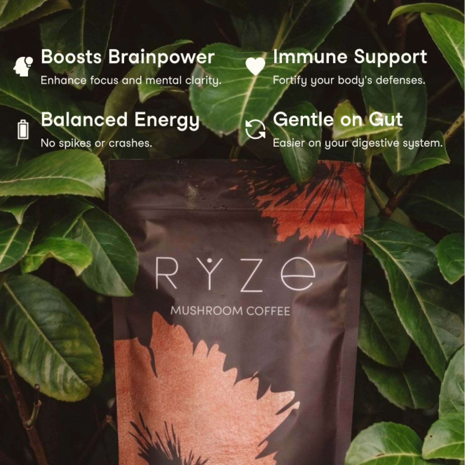 RYZE Mushroom Coffee — Organic Instant Coffee with Cordyceps & Reishi, 30 Servings E5