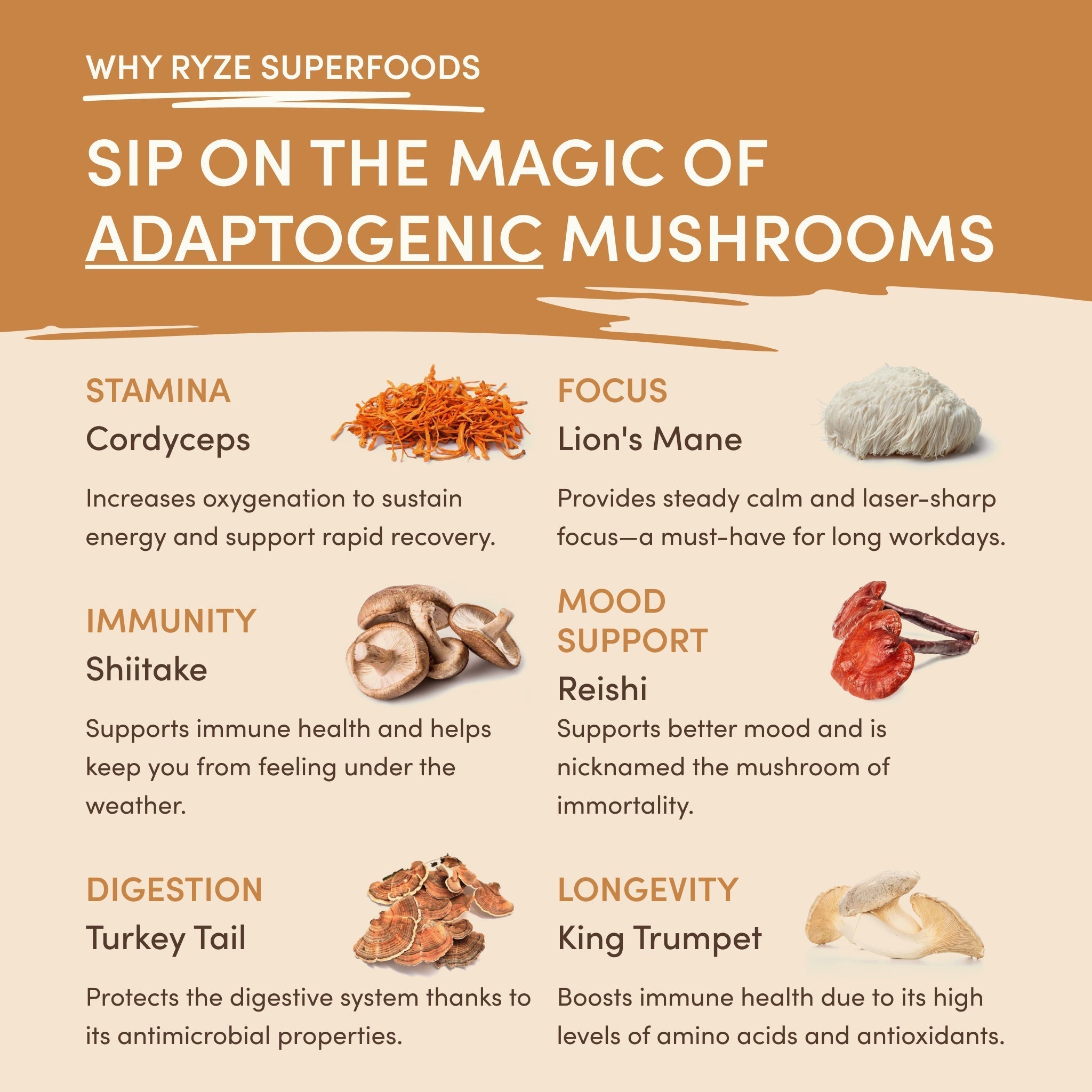 Mushroom Overnight Oats (14 Servings) Y1