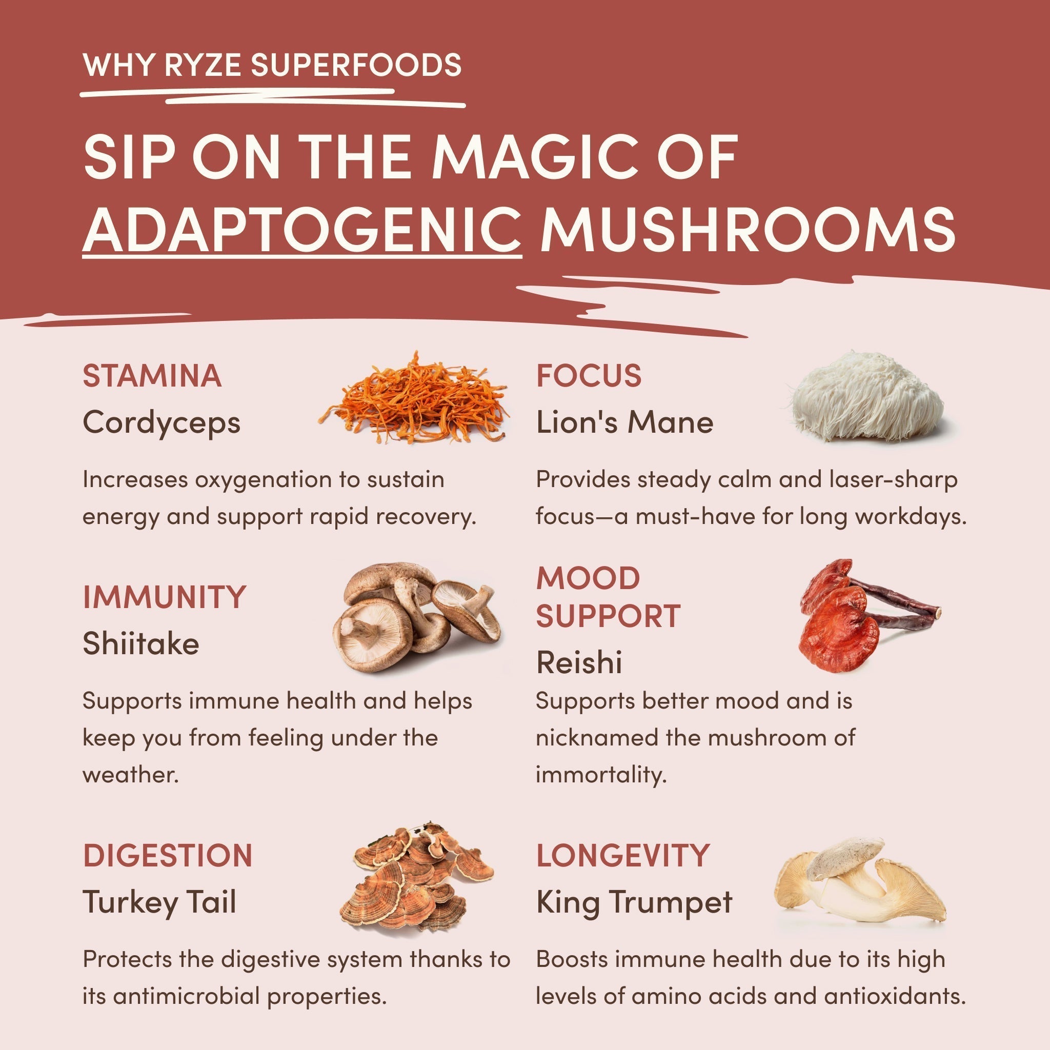 RYZE Mushroom Chicory — Organic Instant Chicory with Shitake & Lions mane, 30 Servings Y5
