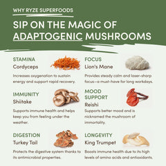 RYZE Mushroom Matcha — Organic Instant Matcha Latte with Lion's Mane & King Trumpet, 30 Servings P3