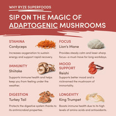 RYZE Mushroom Chai — Organic Instant Chai with Reishi & Organic Black Tea, 20 Servings P3