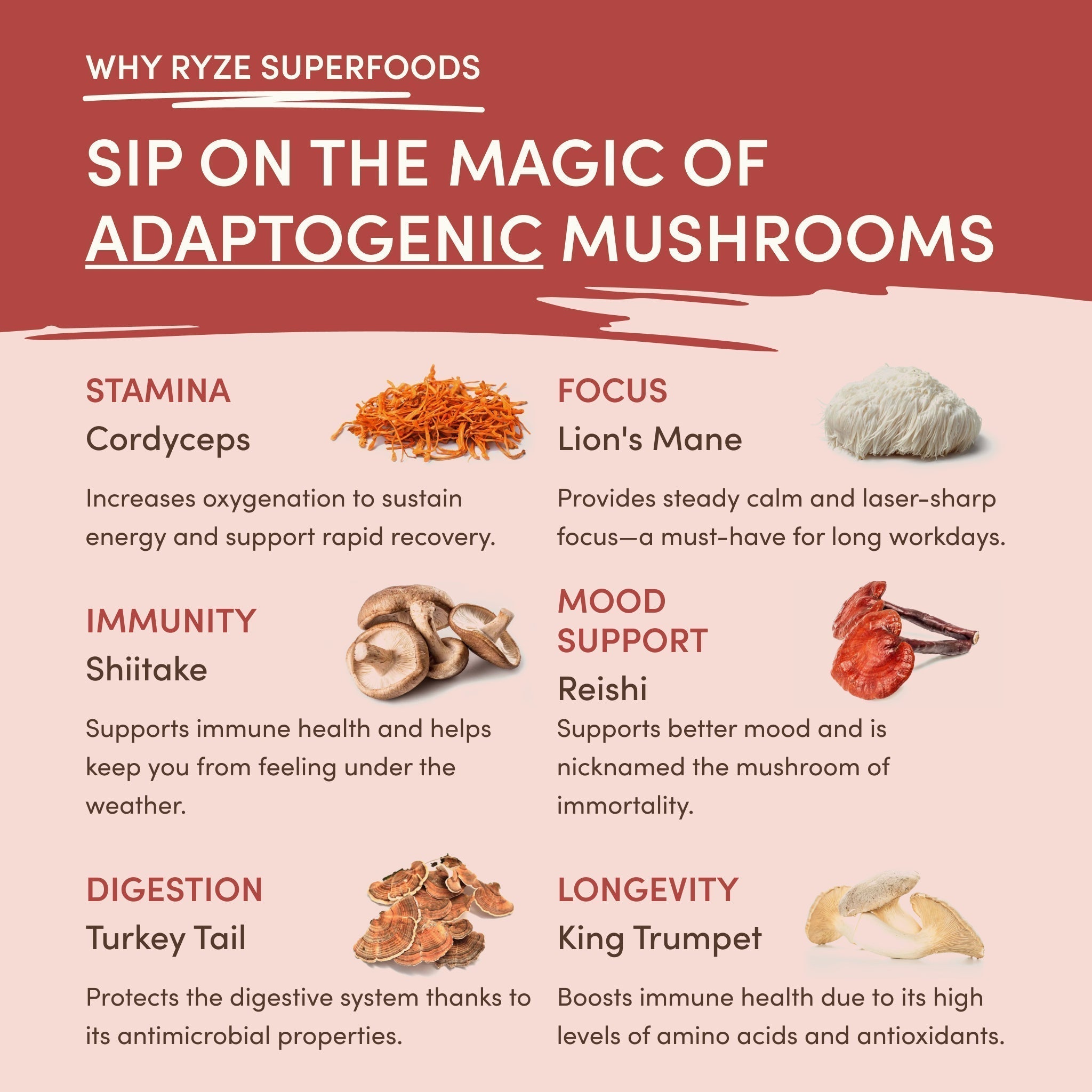 RYZE Mushroom Chai — Organic Instant Chai with Reishi & Organic Black Tea, 20 Servings P3