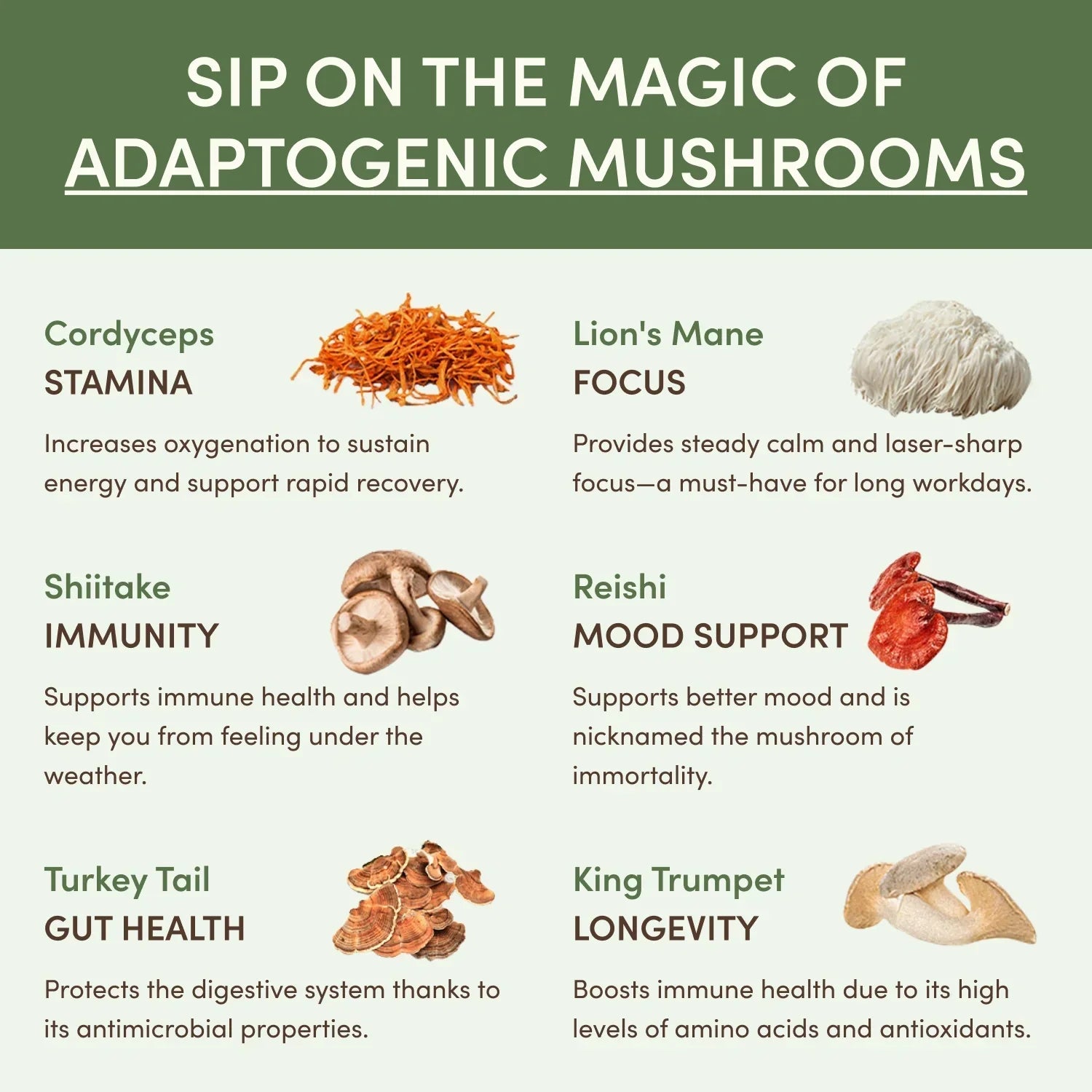 Mushroom Matcha Starter Kit (60 Servings) C1