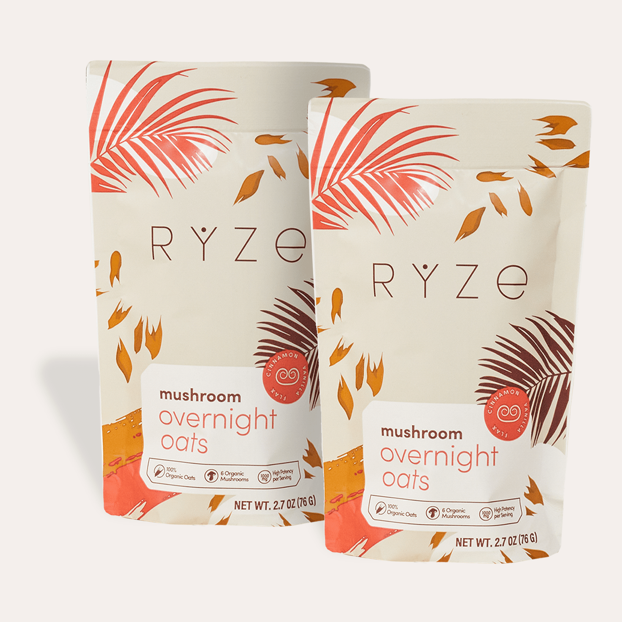 Mushroom Overnight Oats Pack (28 Servings) G0
