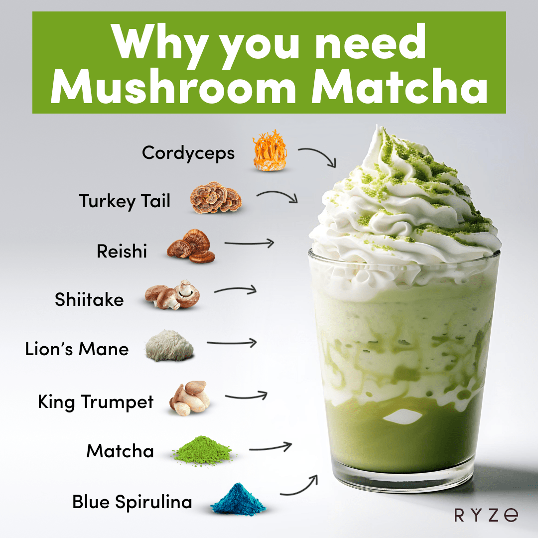 RYZE Organic Mushroom Matcha Starter Kit (60 servings) E1