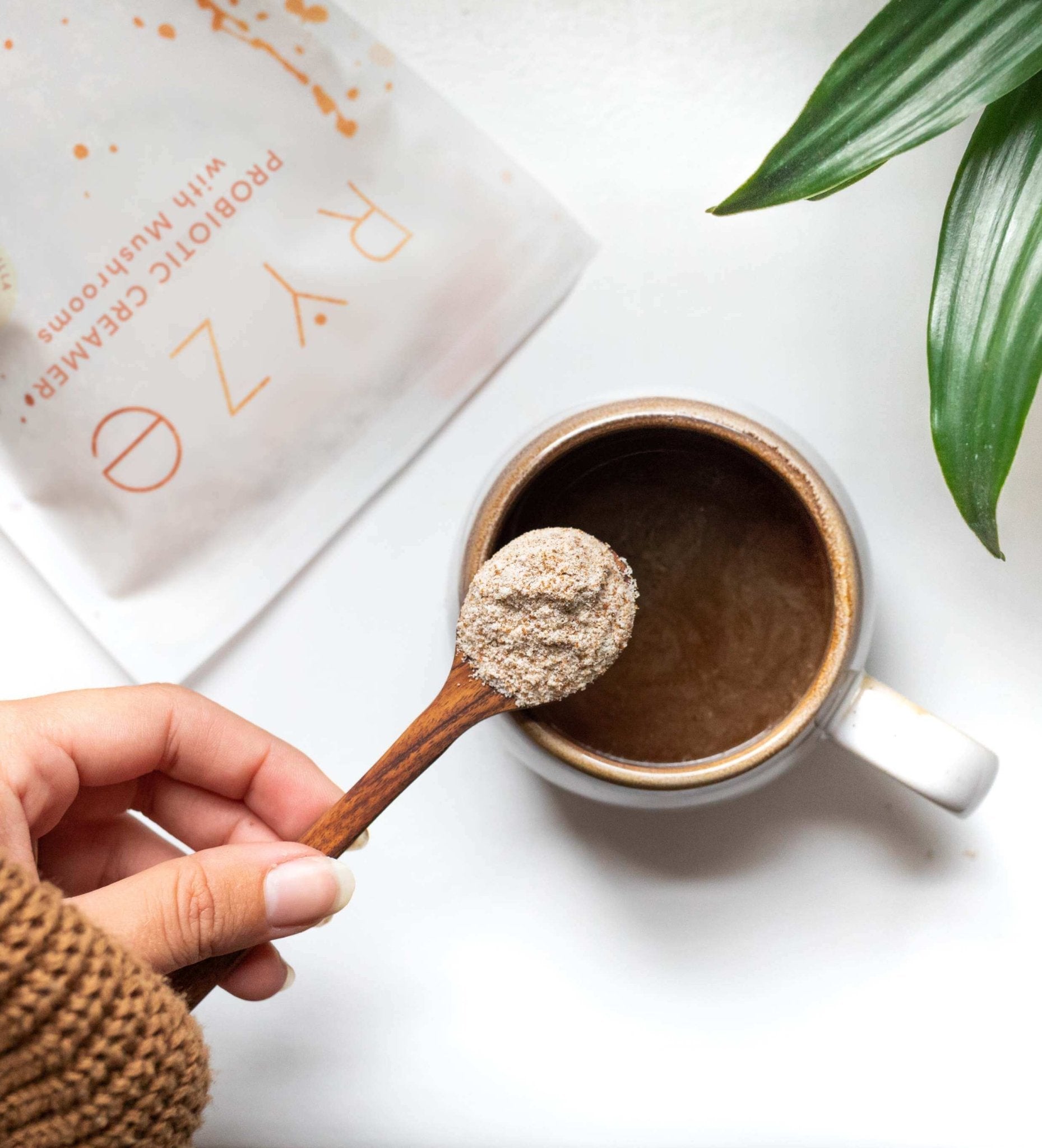Try our Probiotic Creamer for 50% OFF! U6